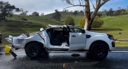 Aï»¿ man is in serious condition after he and his dog became trapped when a gum tree crushed his ute north-east of South Australia.