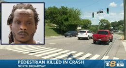 Driver killed pedestrian, kicked her, dragged body from road