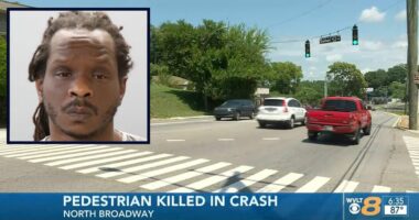 Driver killed pedestrian, kicked her, dragged body from road