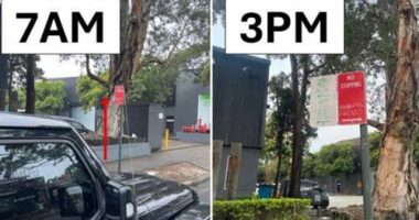 Aï»¿ Sydney driver who parked his car was shocked when he returned after work to find he had been given a ticket.That's because while he was away, workers had installed new signs ï»¿banning all day parking.