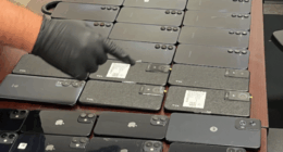 Drugs, cellphones among contraband intercepted at NECX