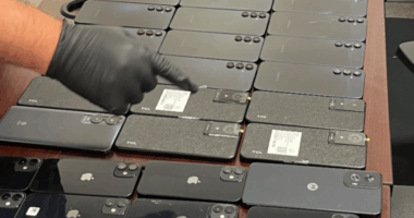 Drugs, cellphones among contraband intercepted at NECX