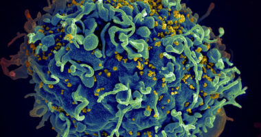 EU regulator approves injectable HIV drug that experts say could help stop transmission