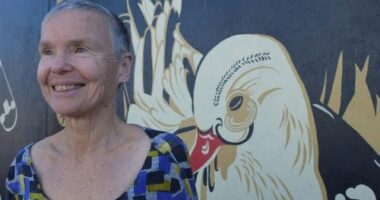 Alison Taylor was a key volunteer at the Porirua Citizens Advice Bureau.