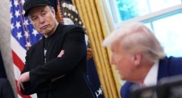 Elon Musk and Donald Trump are fighting again