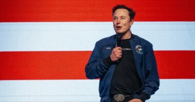 Elon Musk