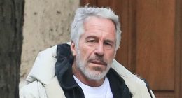 Elon Musk warns Epstein memo is 'last straw' as MAGA turns on Bondi