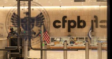 Employees at the nation's consumer financial watchdog say it's become toothless under Trump
