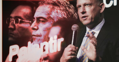 Jeffrey Epstein Reportedly Invested $40 Million in a Company Co-Founded by Peter Thiel