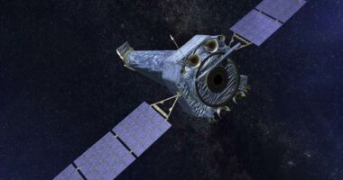 Essex Files: From Florida to the Stars - SpaceX’s 500th Mission Proves the Bold Win