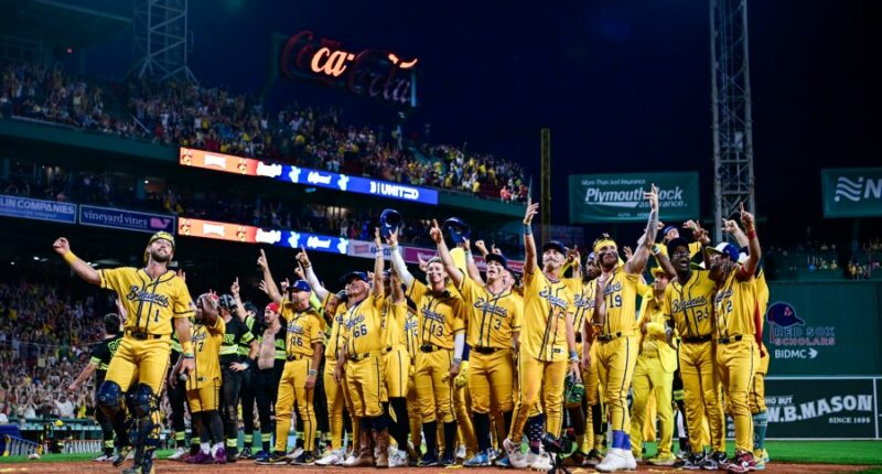 Everything to know as the Savannah Bananas visit St. Louis this weekend