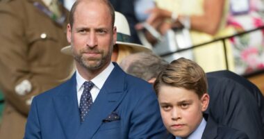 Experts: The royal protocol Prince William and George may not follow