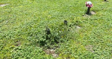 Families concerned about cemetery maintenance