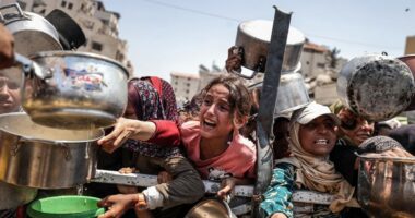 Famine is unfolding in Gaza, the world's leading authority on hunger says