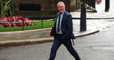 Steve Reed, Britain's Secretary of State for Environment, Food and Rural Affairs, walking near Downing Street.
