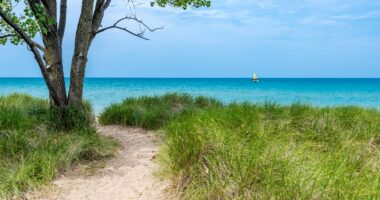 Father and son drown in Lake Michigan during weekend family boating trip tragedy