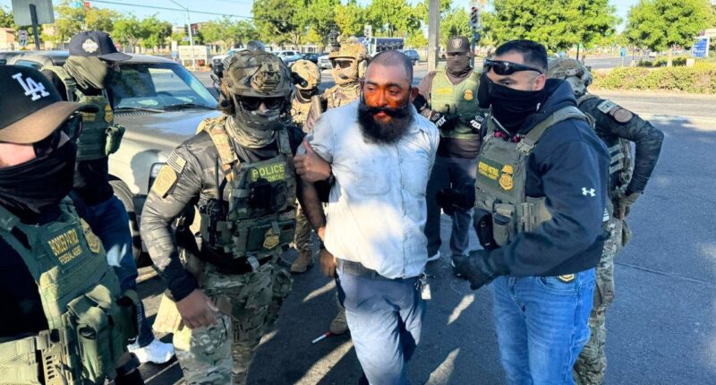 Feds' California Home Depot raid nabs 11 illegal migrants, one with 67 prior jail bookings