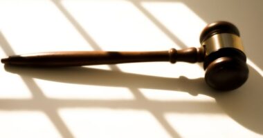 Fifth defendant in U of I pro-Palestine protest pleads guilty