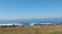 Ocean view from grassy area with rocky shore.