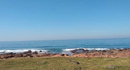 Ocean view from grassy area with rocky shore.