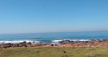 Ocean view from grassy area with rocky shore.