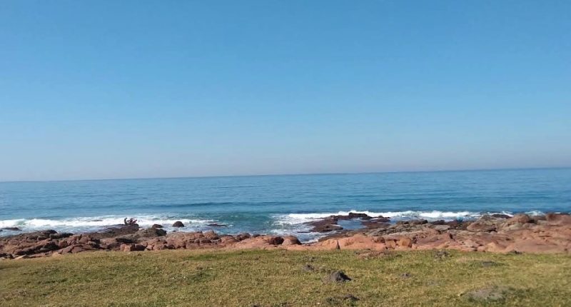 Ocean view from grassy area with rocky shore.