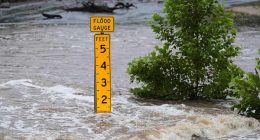 Flash floods like the one that swept through Texas are the nation's top storm-related killer