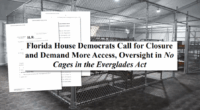 Florida Democrats aim to defund and close Alligator Alcatraz