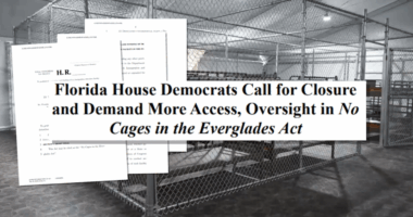 Florida Democrats aim to defund and close Alligator Alcatraz