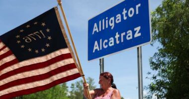 Florida Gov. DeSantis says deportation flights from 'Alligator Alcatraz' have begun