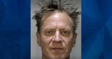 Florida Man Steals Key West Tour Train for Birthday Joyride