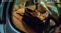 Florida couple arrested, accused of leaving baby in car to go to bar