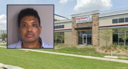 Florida woman allegedly steals pregnant mother's vehicle