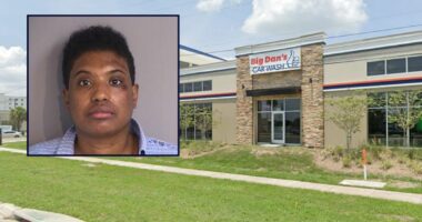 Florida woman allegedly steals pregnant mother's vehicle
