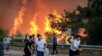 Firefighters and civilians battling a large forest fire.