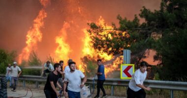Firefighters and civilians battling a large forest fire.