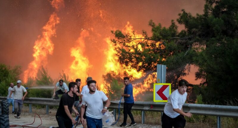 Firefighters and civilians battling a large forest fire.