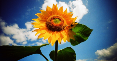Friday Morning Minute: Keep on the Sunny Side