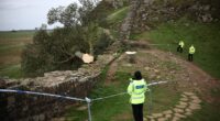 Police officers at the scene of a felled tree near Hadrian's Wall.