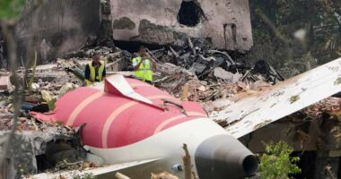 Fuel to Air India plane was cut off moments before crash, investigation report says