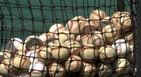 GHSA releases All-State Baseball Teams