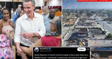 Gavin Newsom savaged for out-of-touch southern campaign swing
