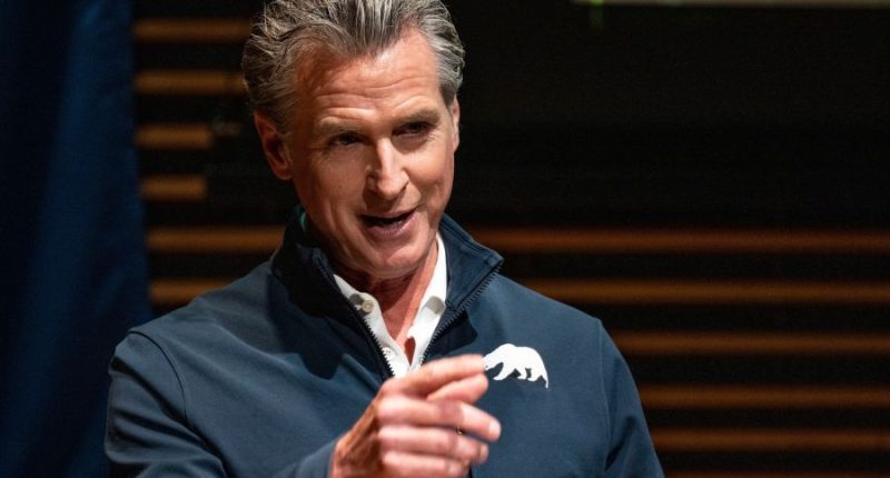Gavin Newsom swings through South Carolina, where Democrats will play pivotal 2028 nominating role