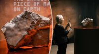 'Geological time capsule from another world'