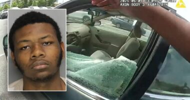 Georgia police officers break into car parked outside mall with two children sweltering inside: video