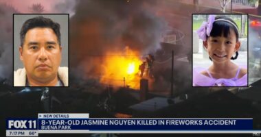 Girl, 8, dies after illegal fireworks are set off: Cops