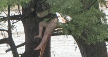 Girl clinging on for life in a tree after being swept down river