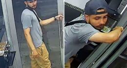 Good Samaritan bashed in head with baseball bat trying to break up NYC brawl
