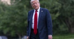 President Donald Trump talks to reporters as he walks on the South Lawn upon arriving at the White House, Sunday, July 13, 2025, in Washington. (AP Photo/Jose Luis Magana)