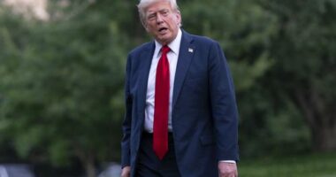 President Donald Trump talks to reporters as he walks on the South Lawn upon arriving at the White House, Sunday, July 13, 2025, in Washington. (AP Photo/Jose Luis Magana)